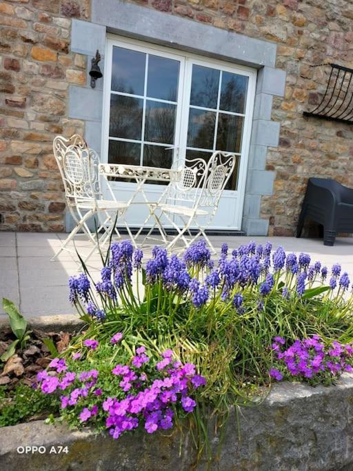 Gite La Dame Au Lit Gite A La Ferme Momignies ภายนอก รูปภาพ
