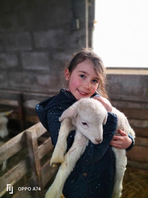 Gite La Dame Au Lit Gite A La Ferme Momignies ภายนอก รูปภาพ