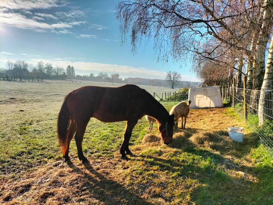 Gite La Dame Au Lit Gite A La Ferme Momignies ภายนอก รูปภาพ