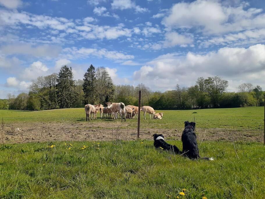 Gite La Dame Au Lit Gite A La Ferme Momignies ภายนอก รูปภาพ